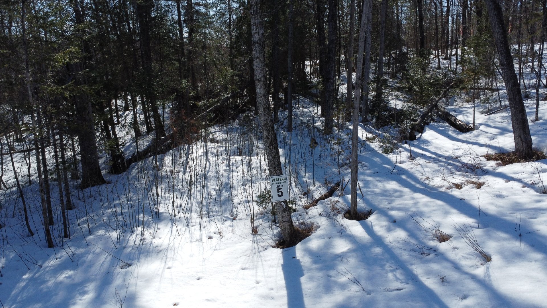 25&nbsp;Rue des Lièvres