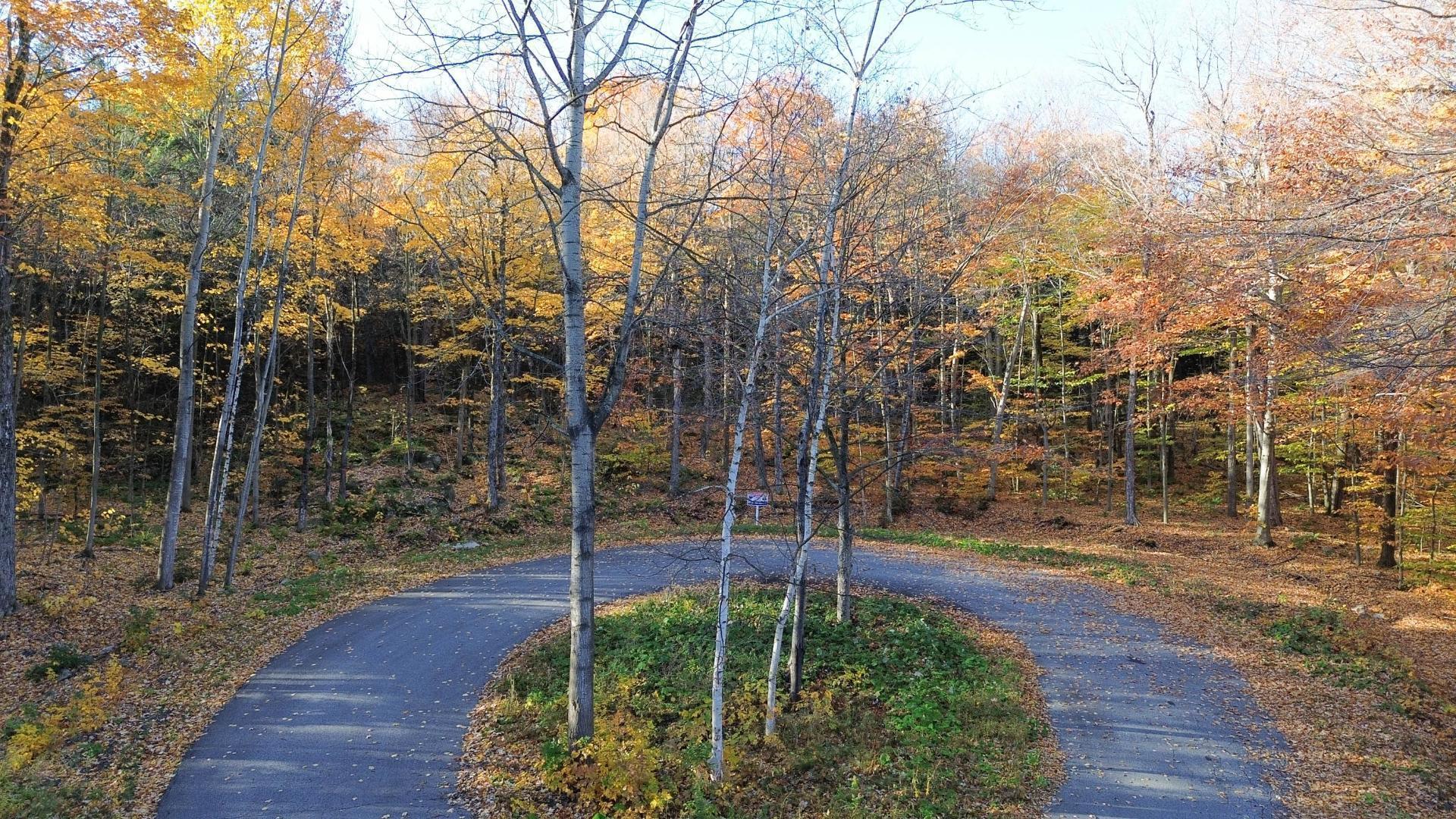MLS: 17687443