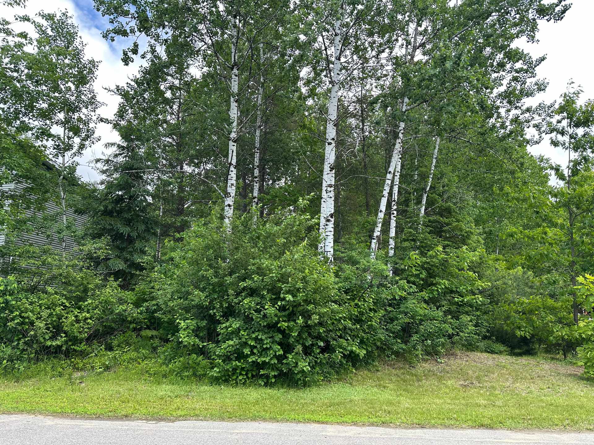 MLS: 18070773