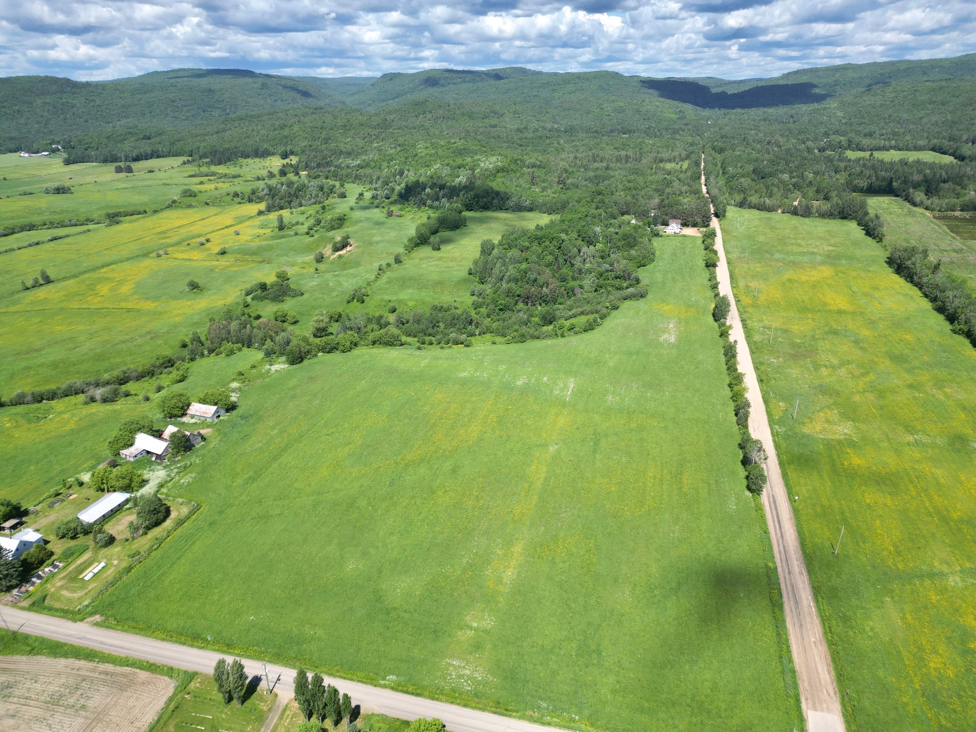 MLS: 25397374