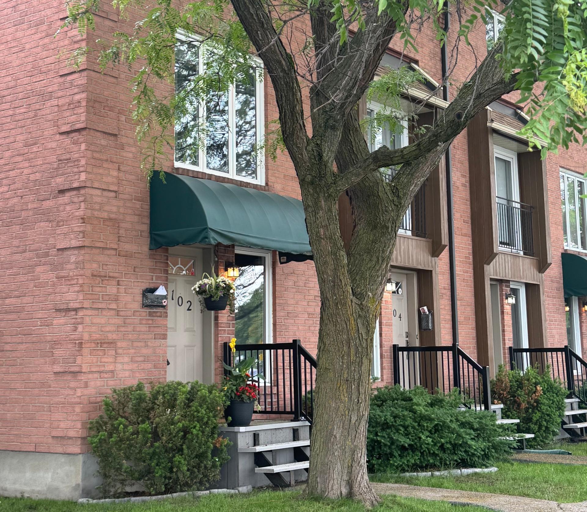 MLS: 24835932