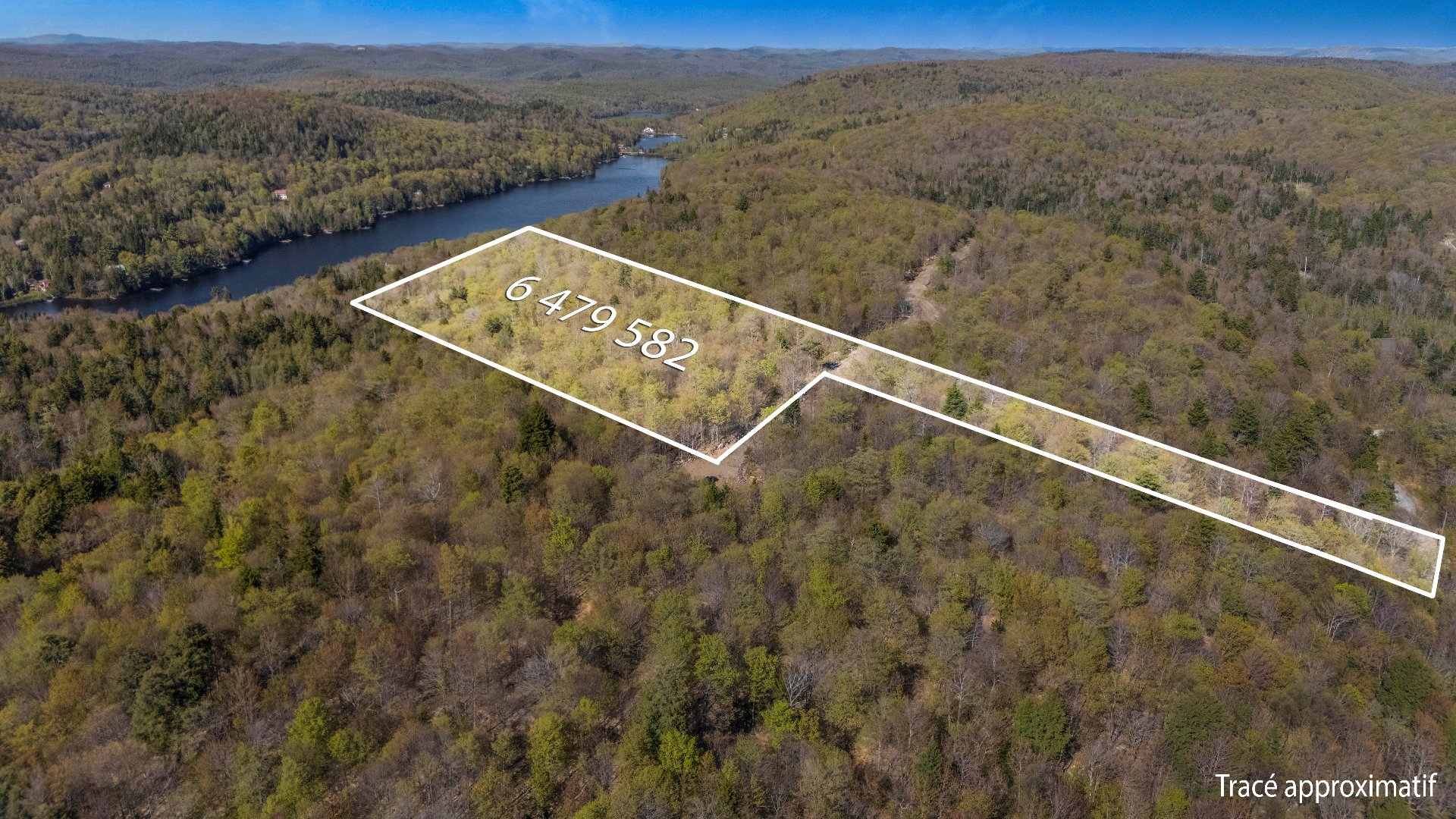 MLS: 19935381