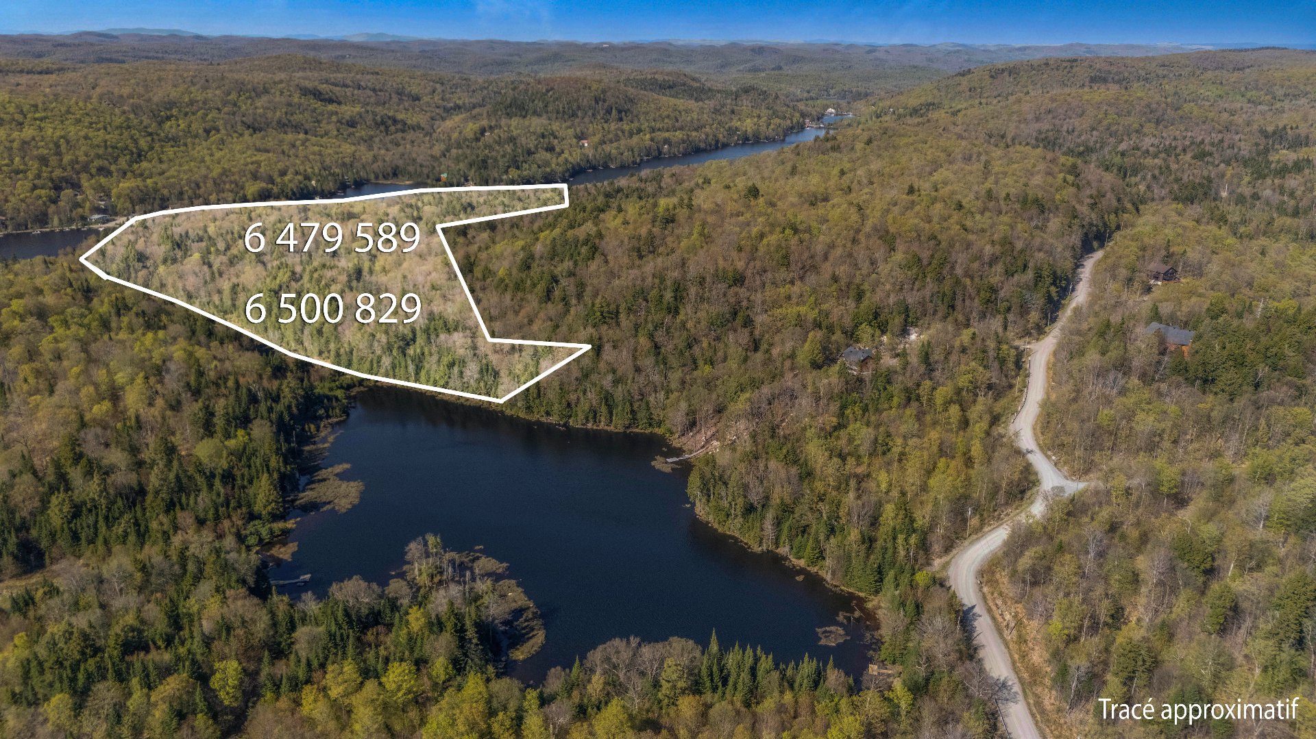 MLS: 25675325