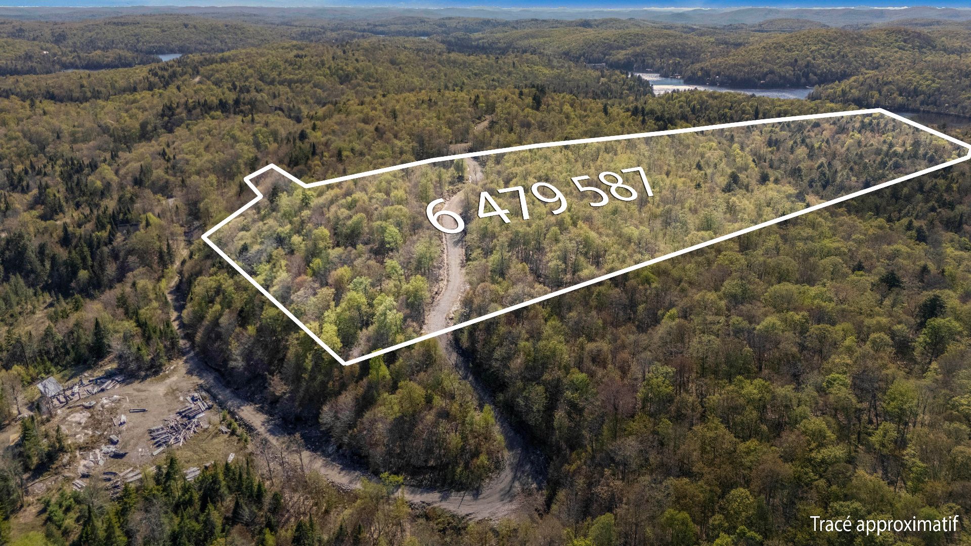 MLS: 24205841