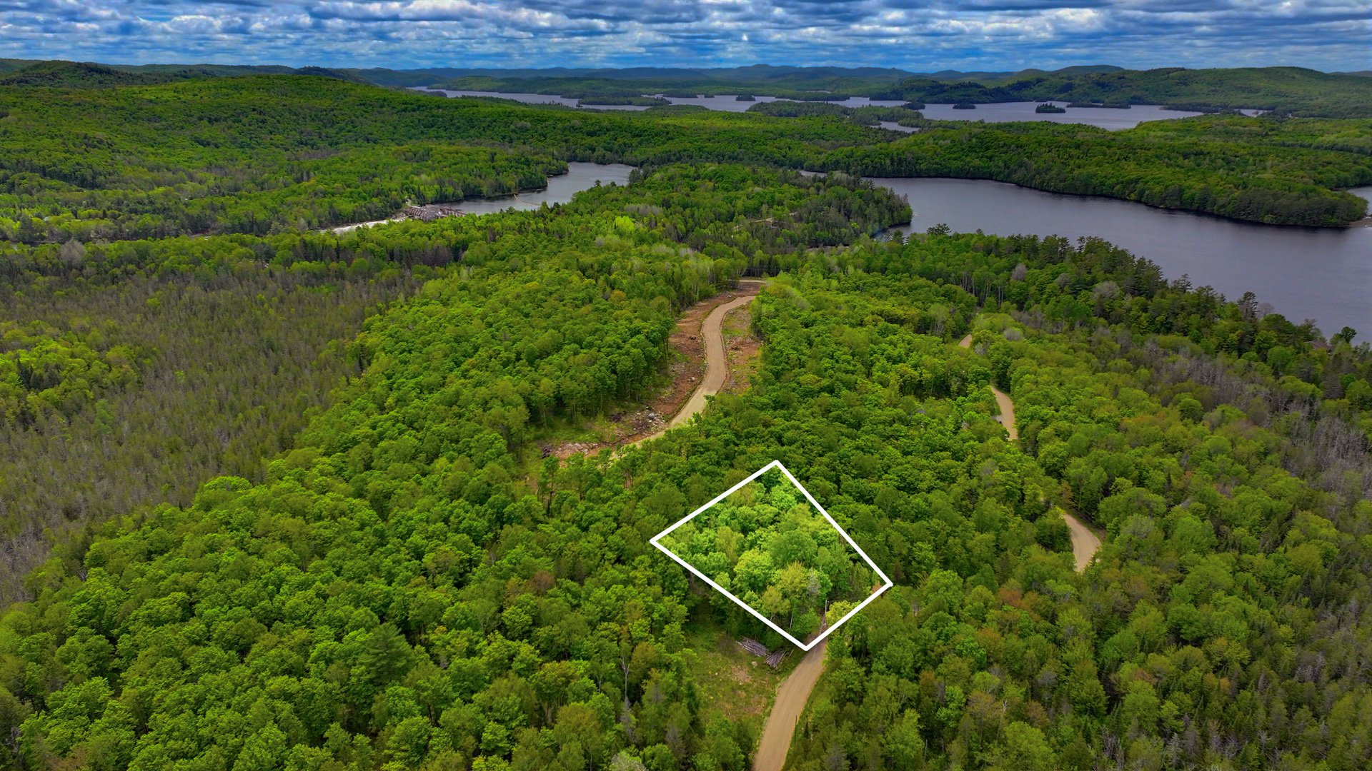 MLS: 14176108