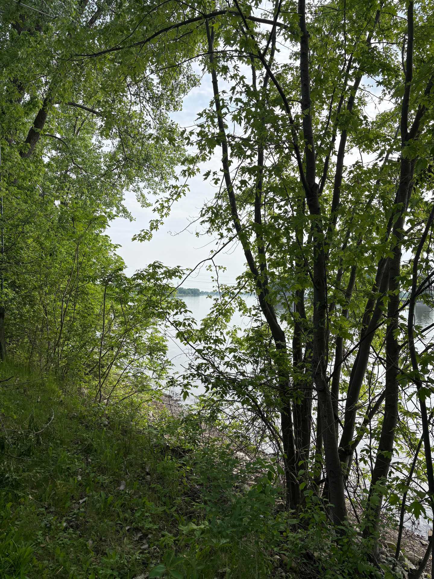 MLS: 15793474