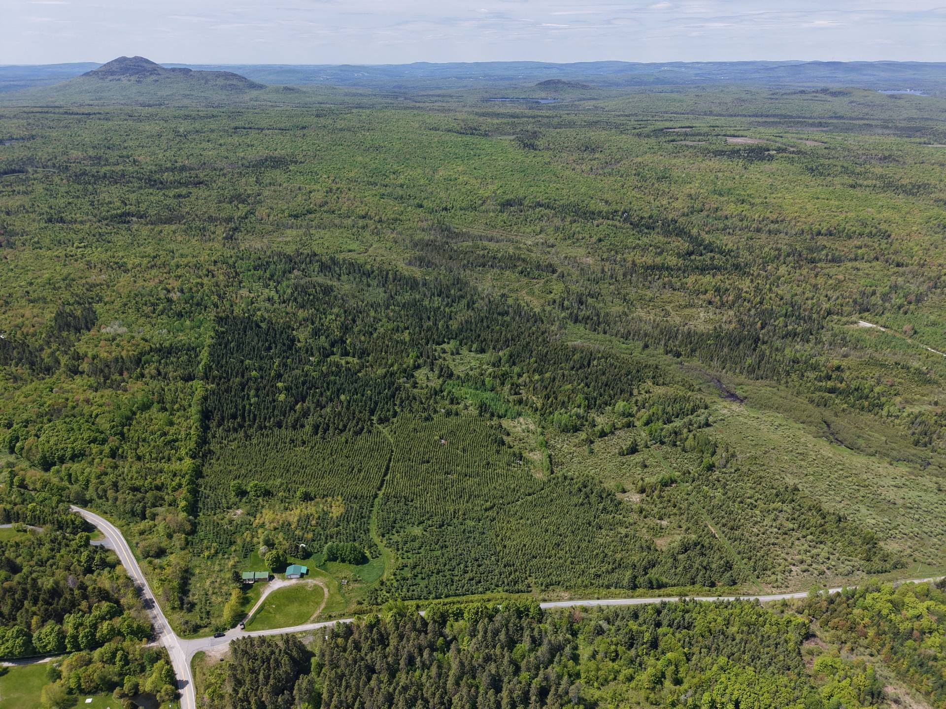 MLS: 20368702