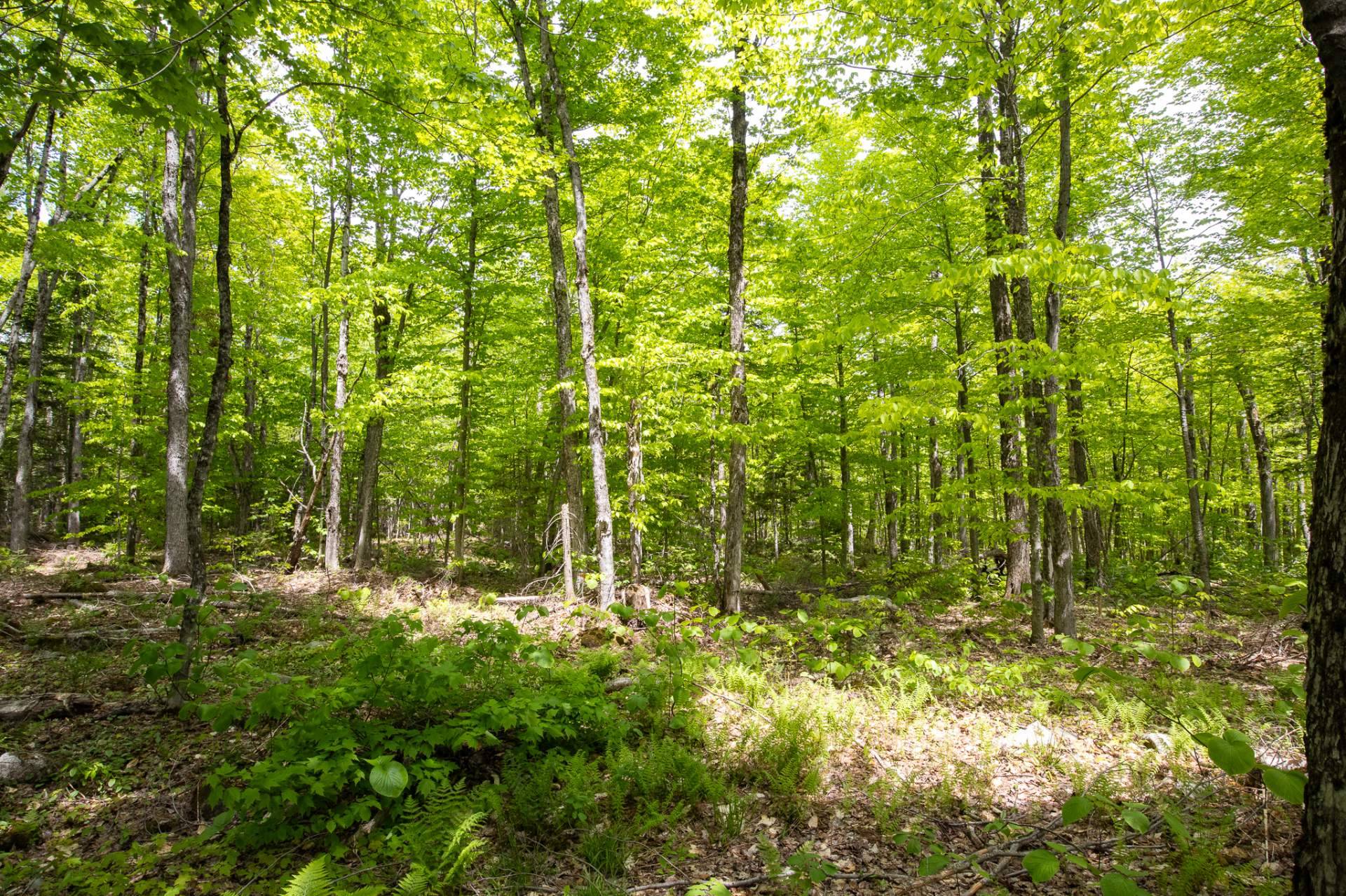 MLS: 26014846
