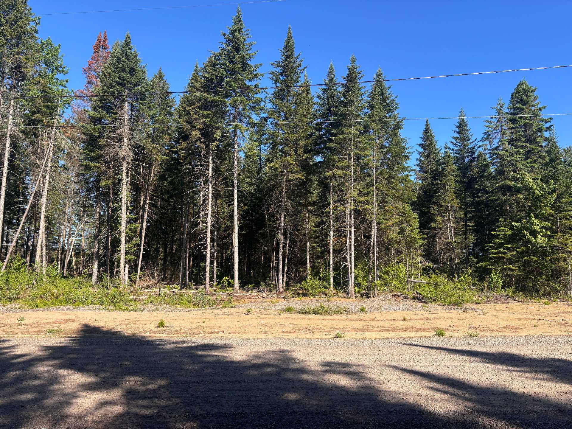 MLS: 18612786