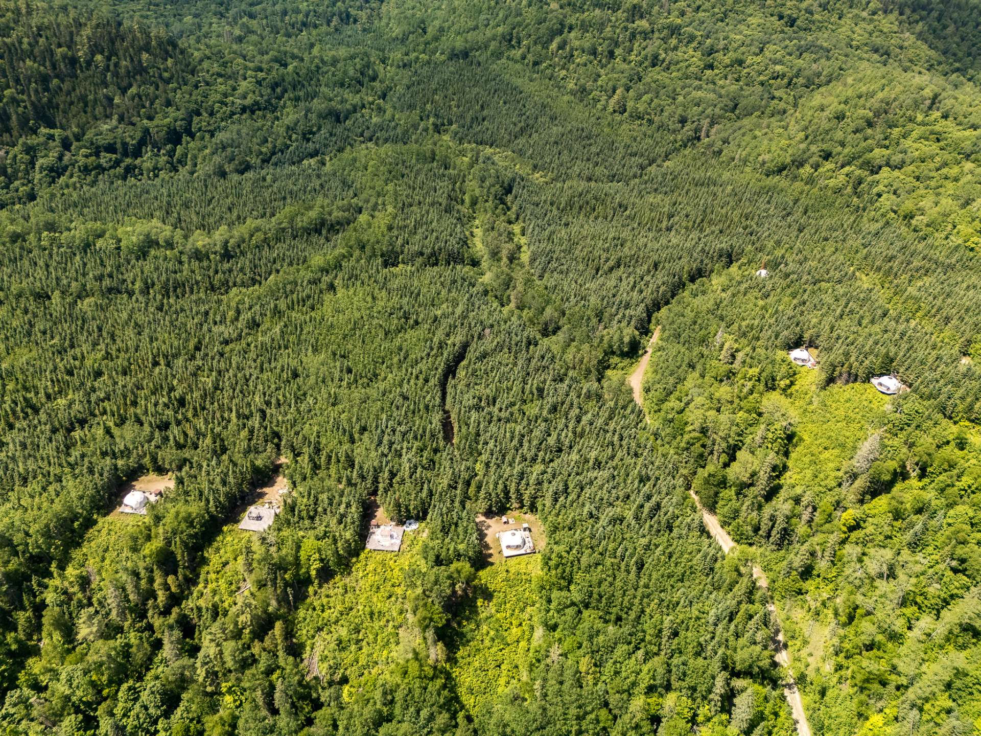 MLS: 24819504