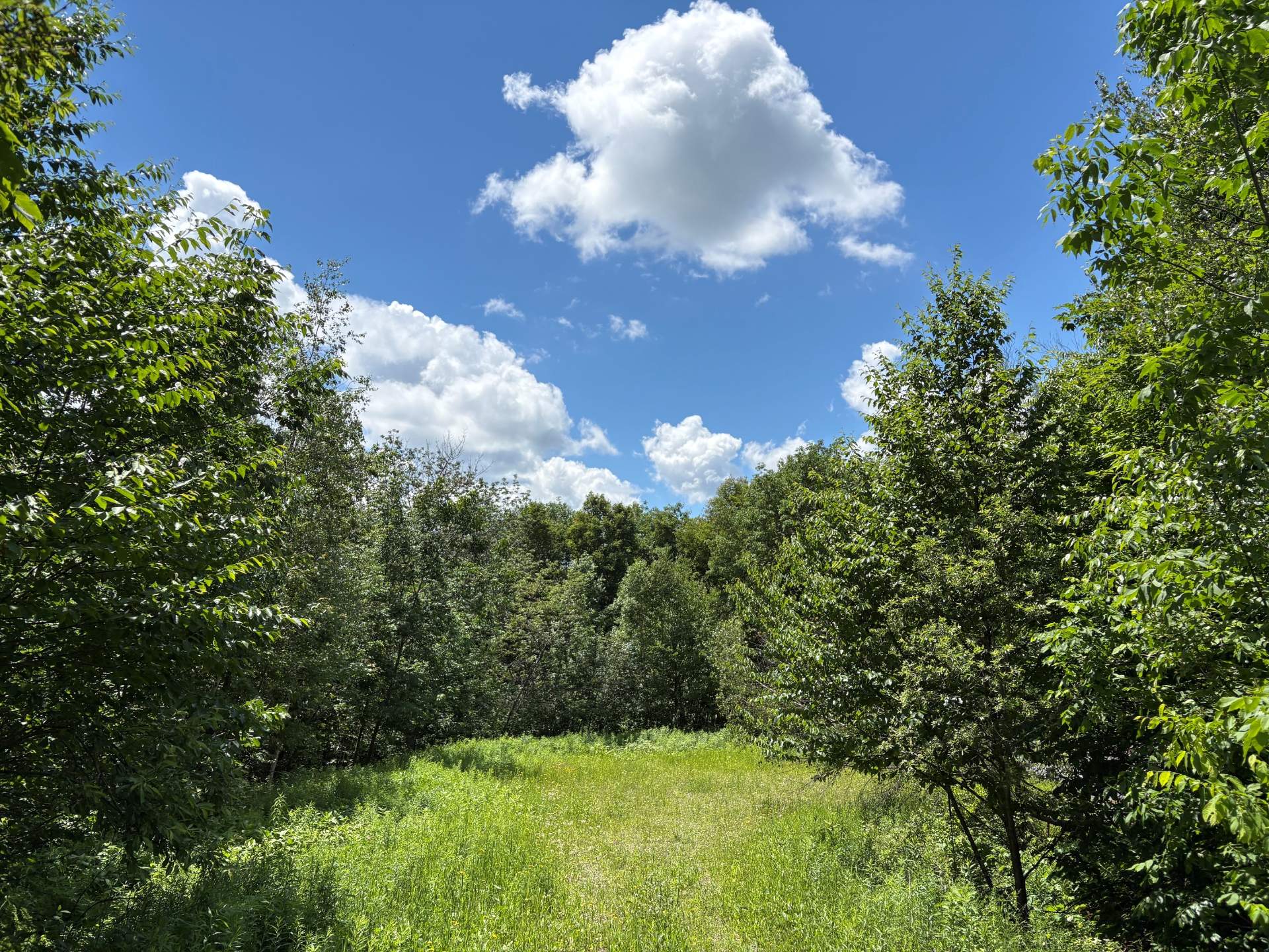 MLS: 28176458