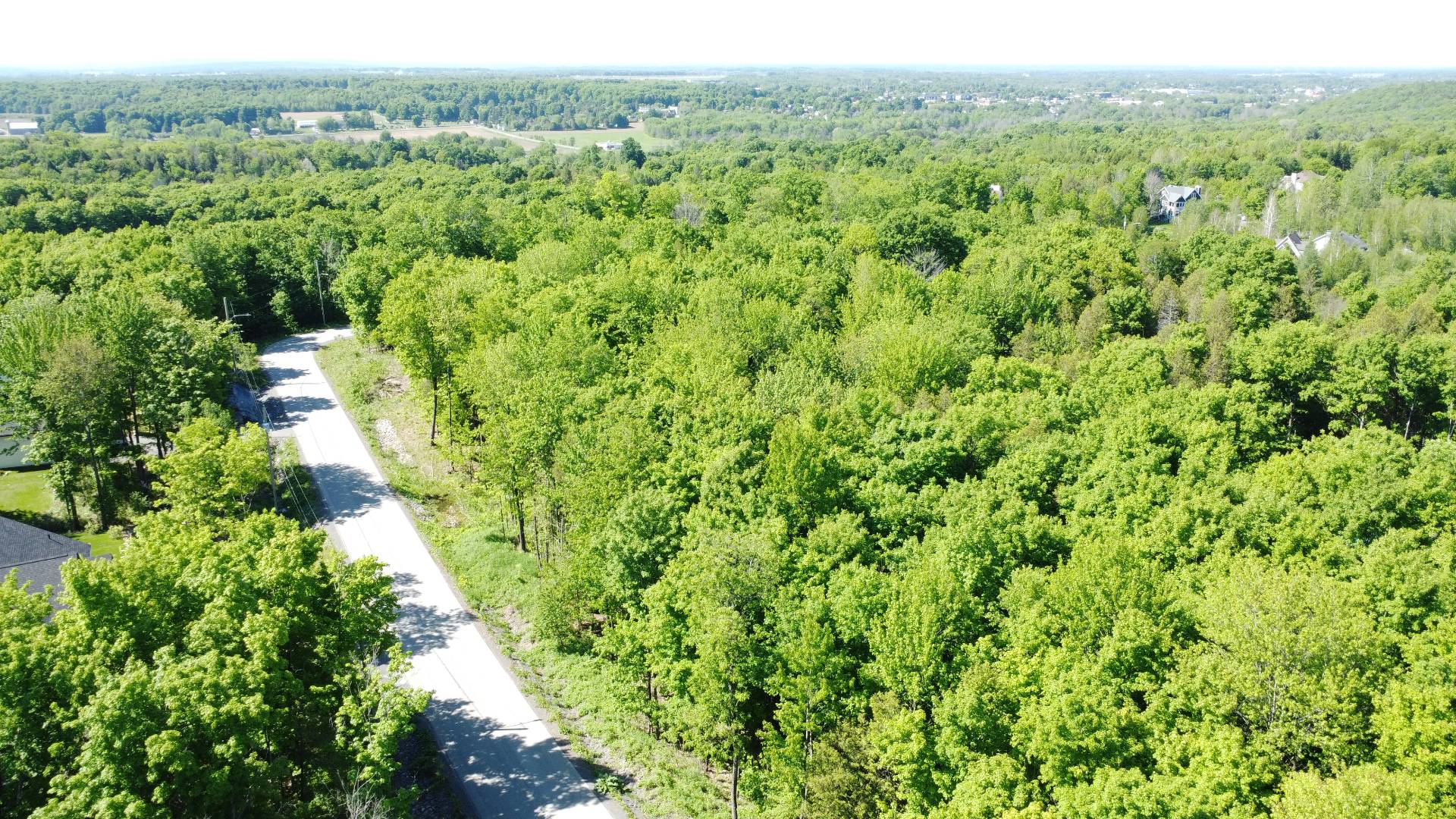 MLS: 23730441