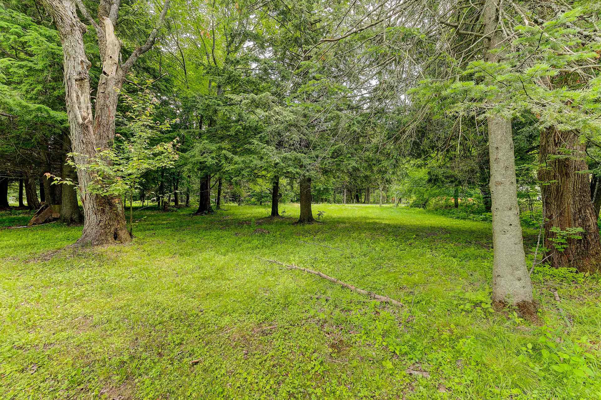 MLS: 16133011