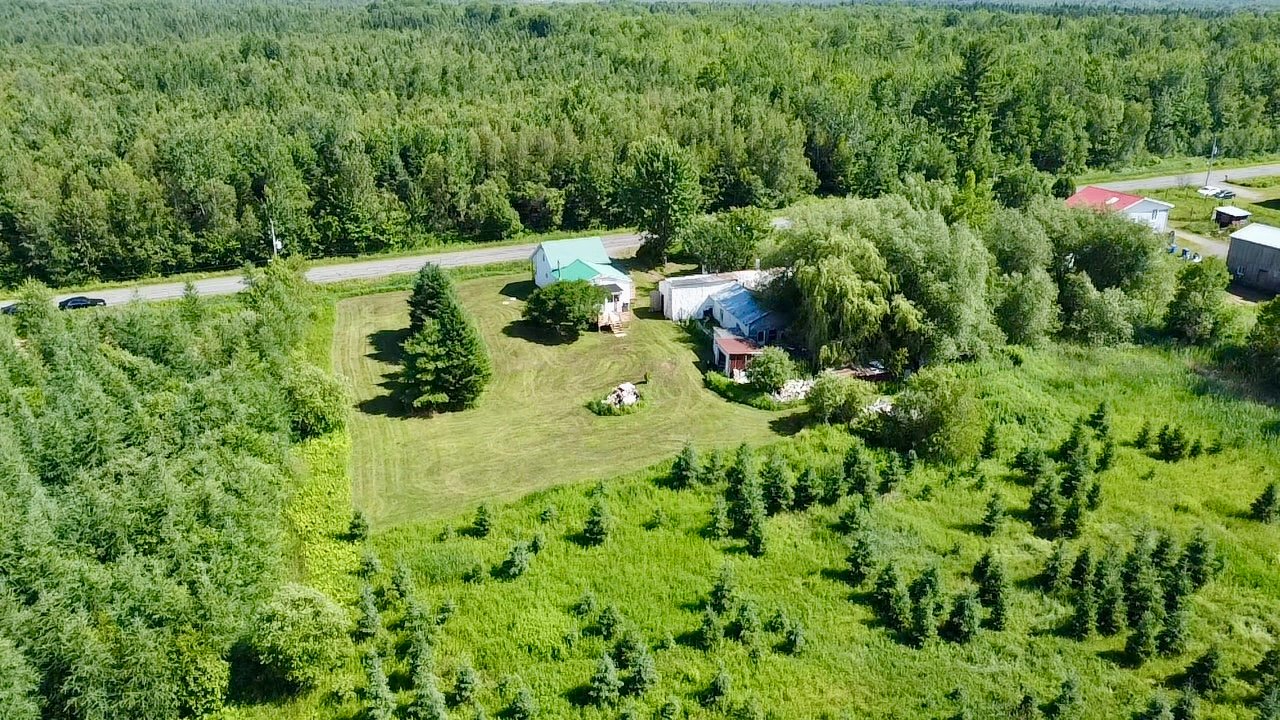 MLS: 14270463
