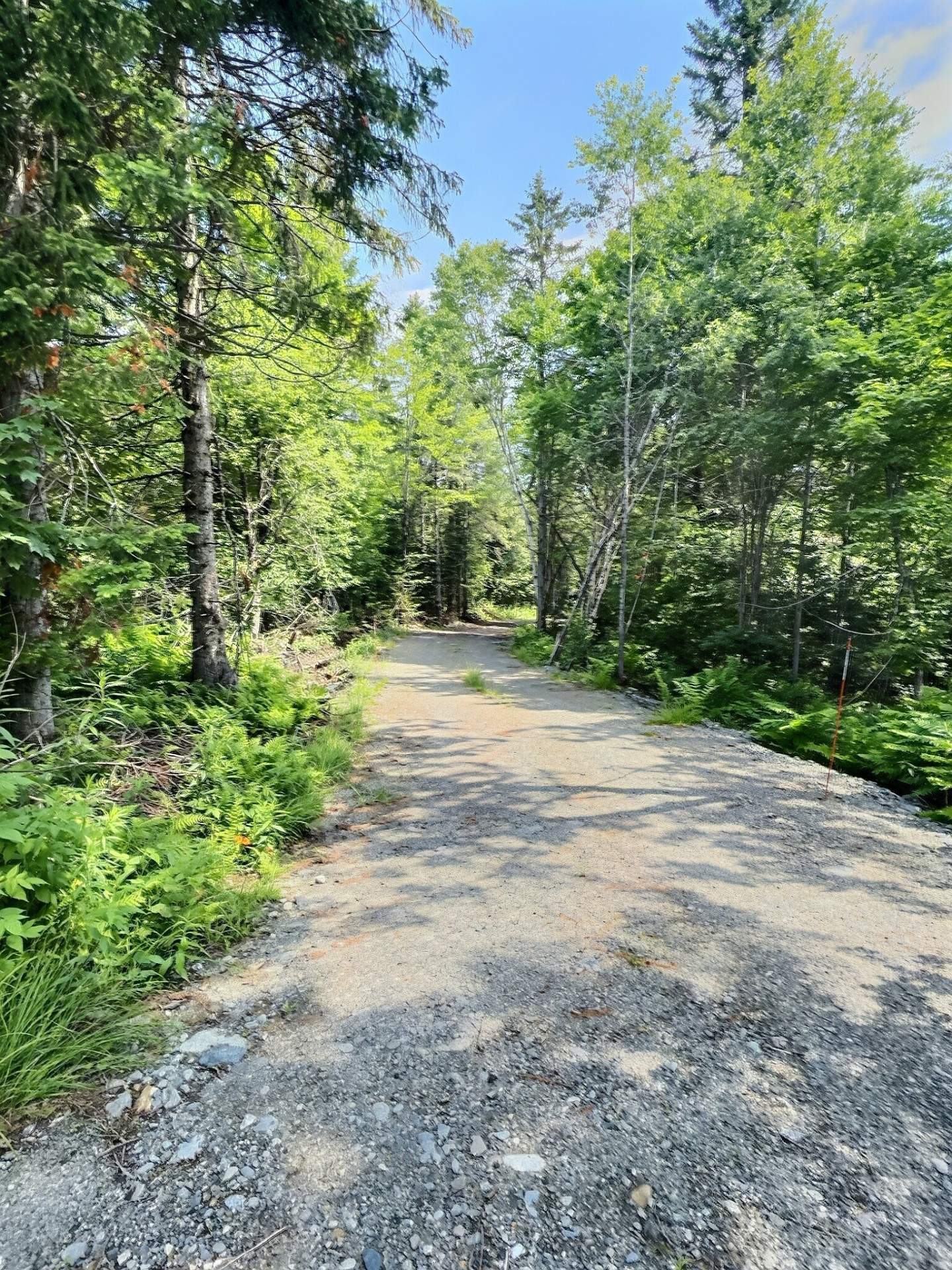 MLS: 25722848