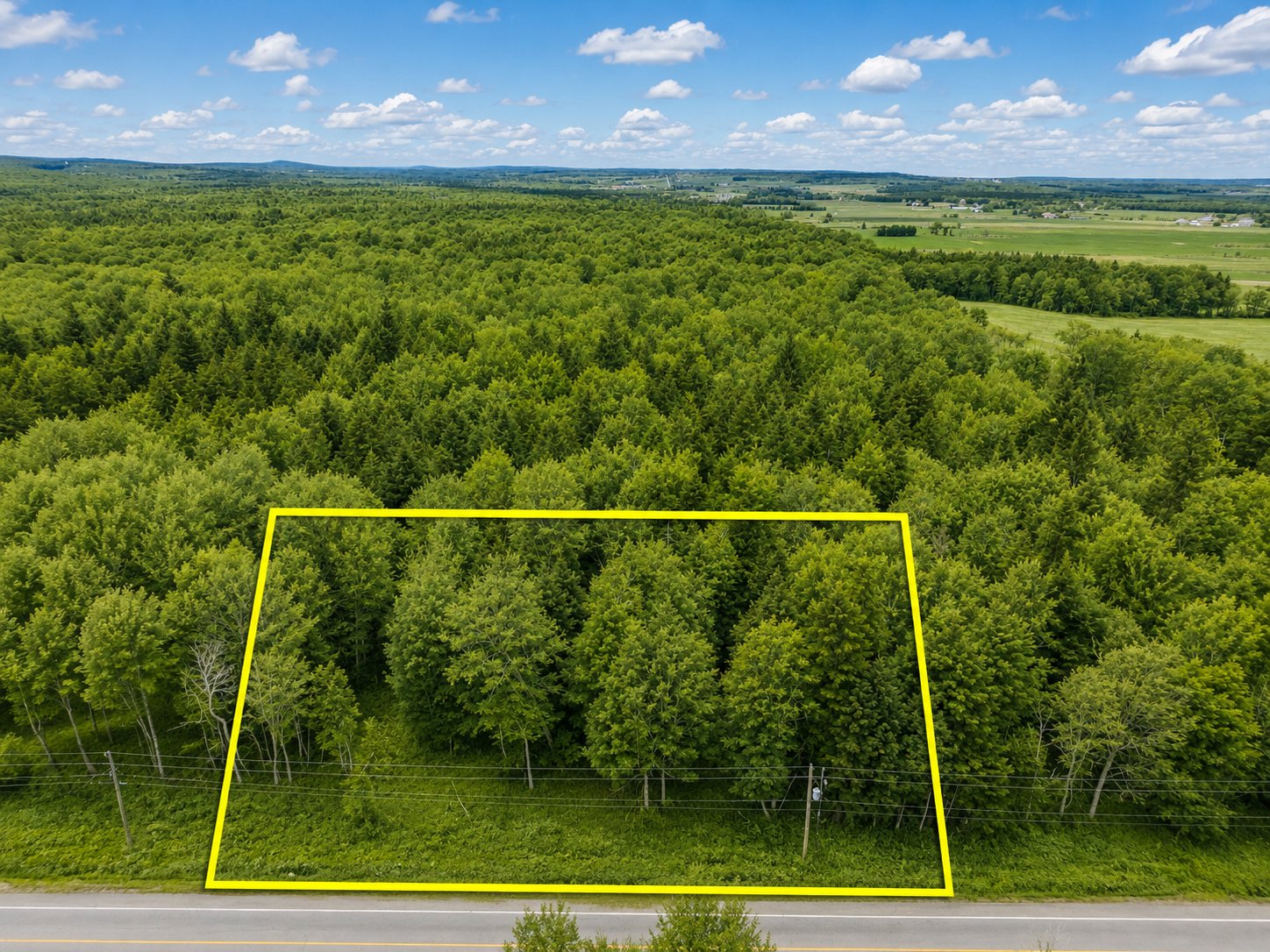 MLS: 13680045