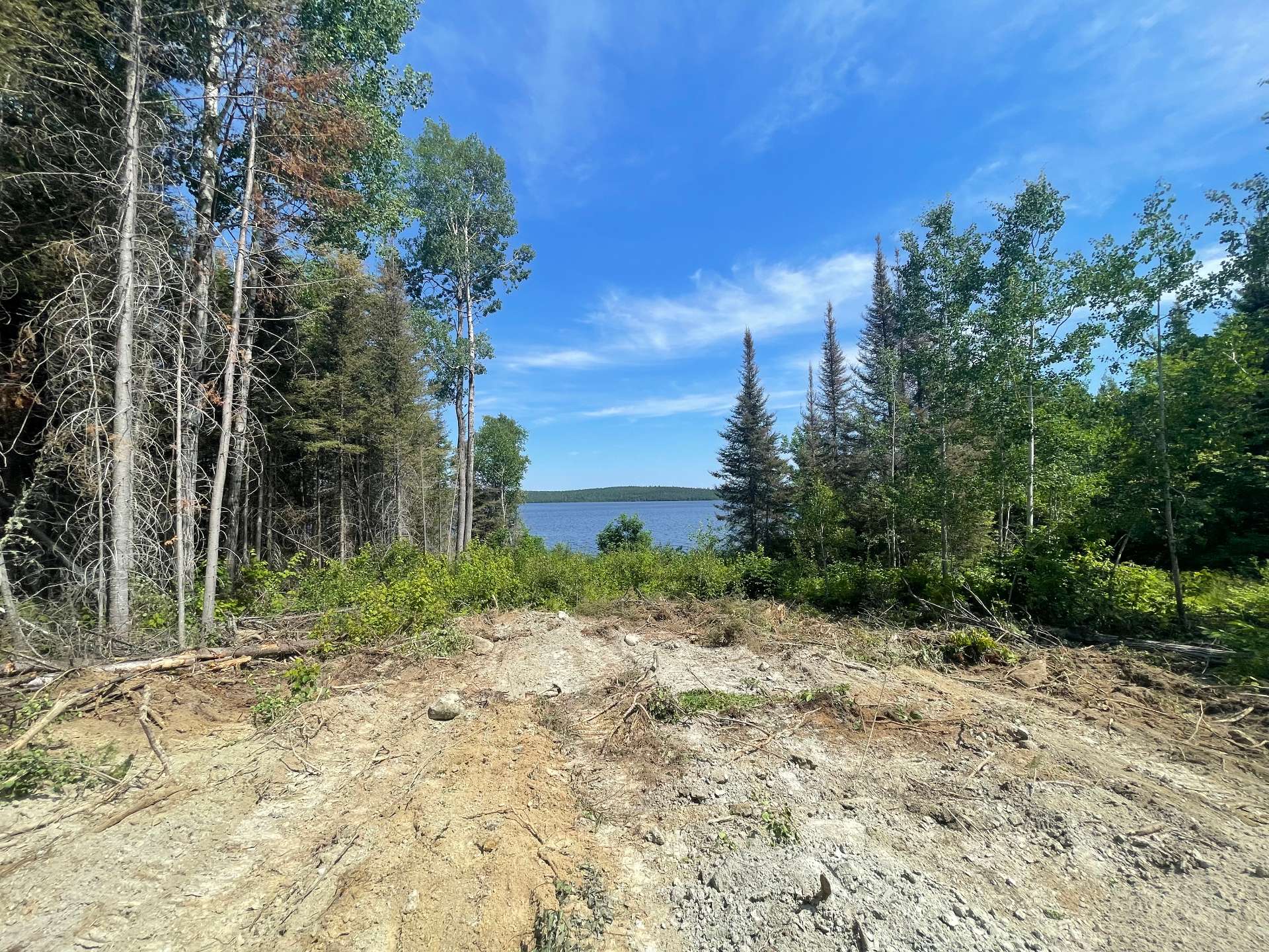 MLS: 16749483
