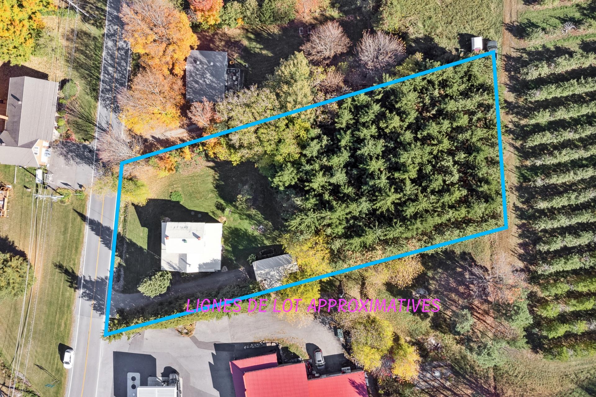 MLS: 19935641