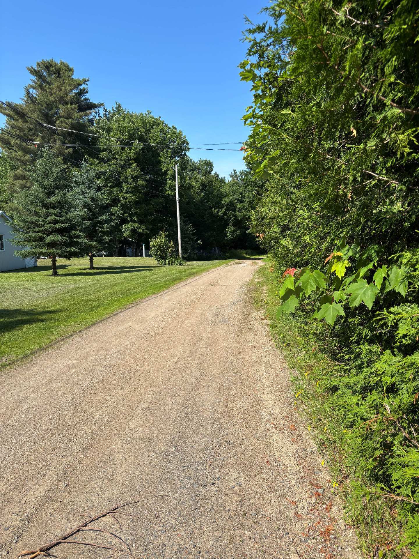 MLS: 11531760