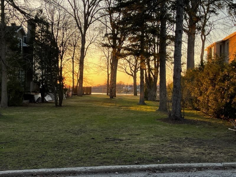 MLS: 17075397