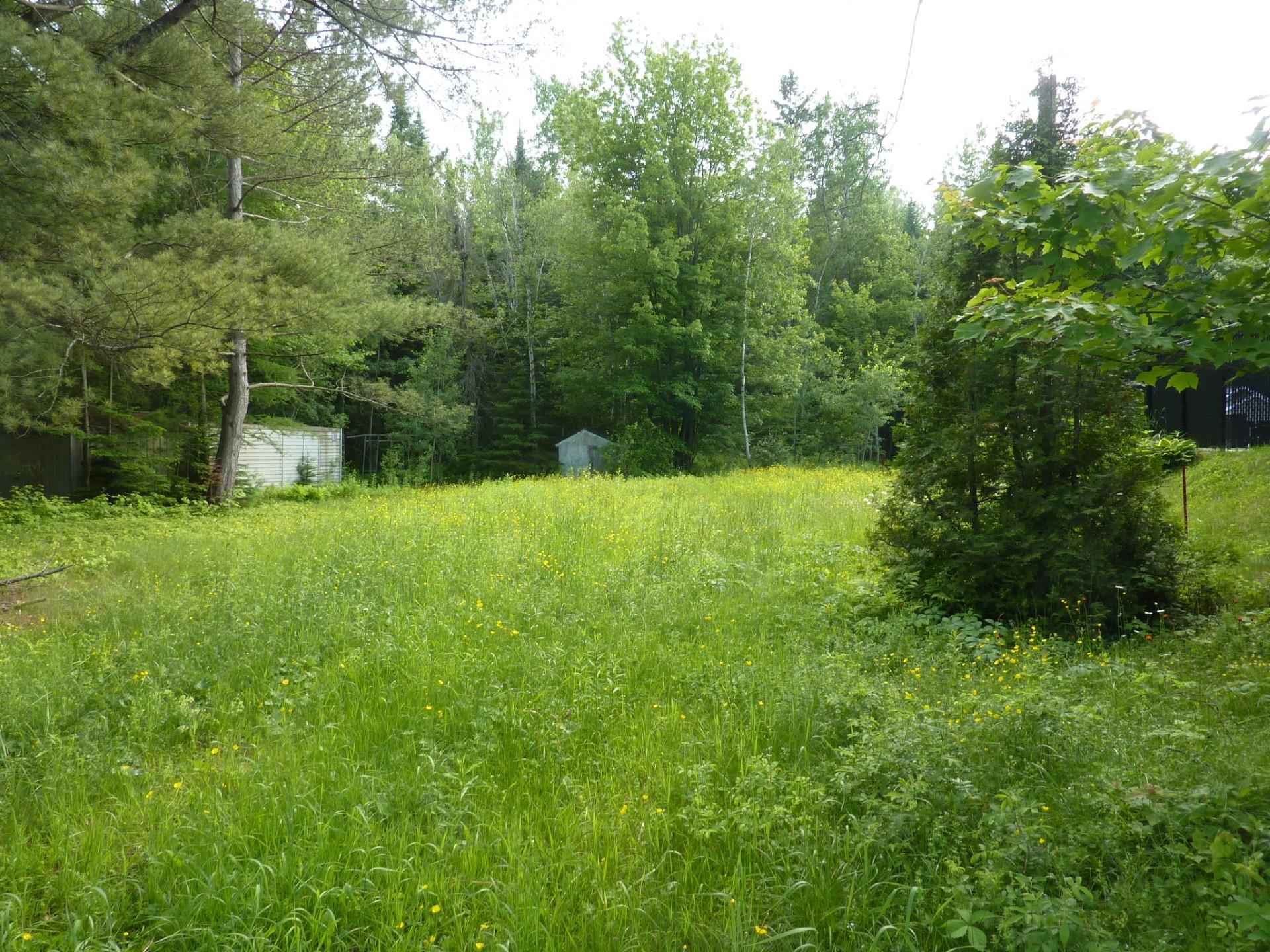 MLS: 18311765
