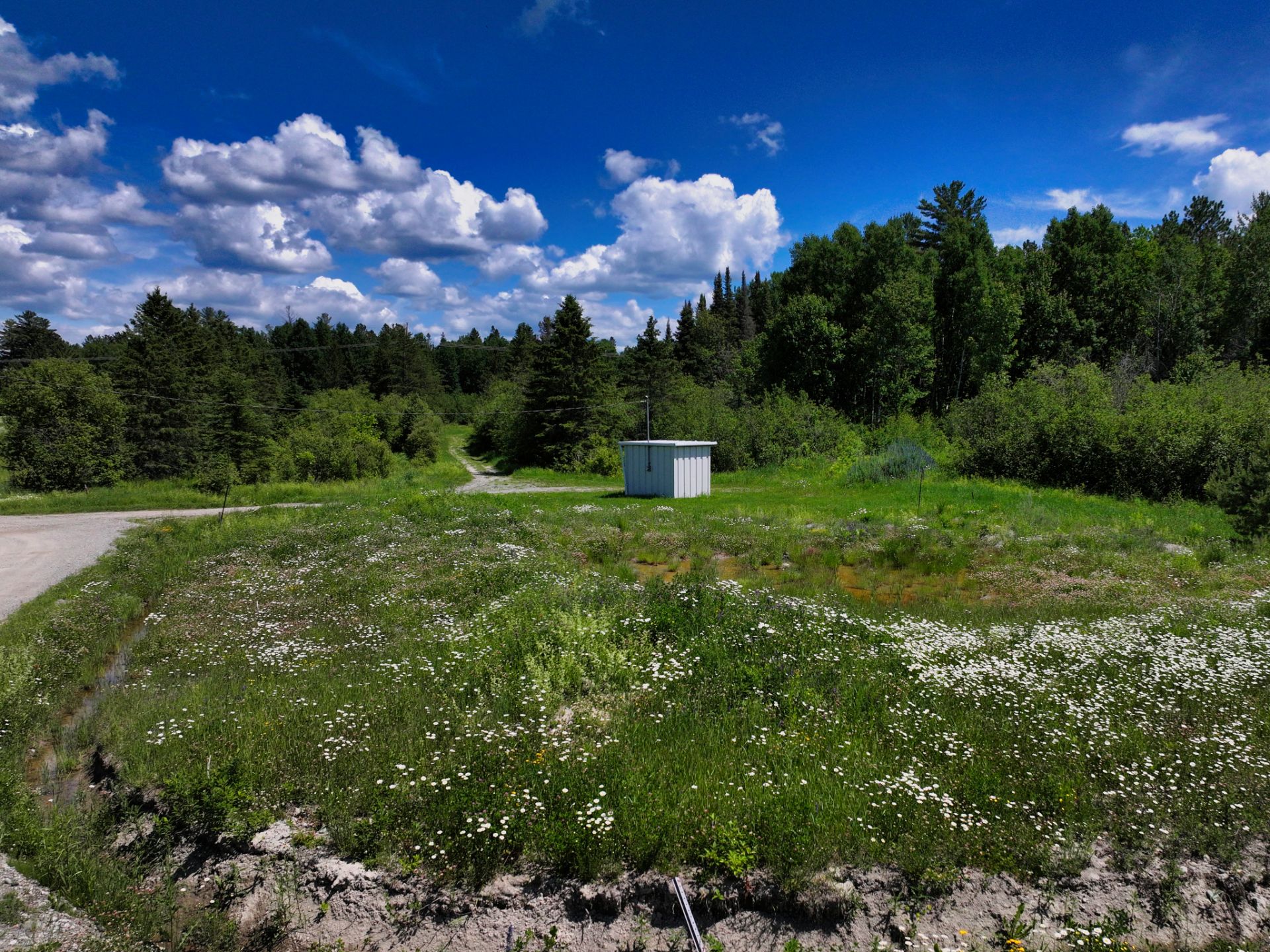 MLS: 11016686