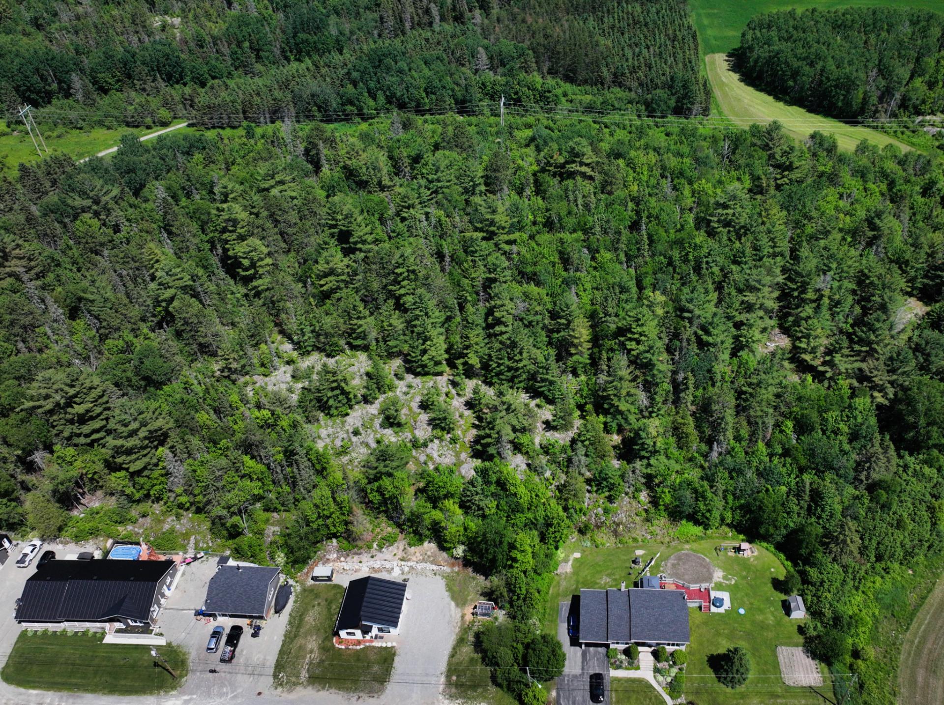 MLS: 15735895