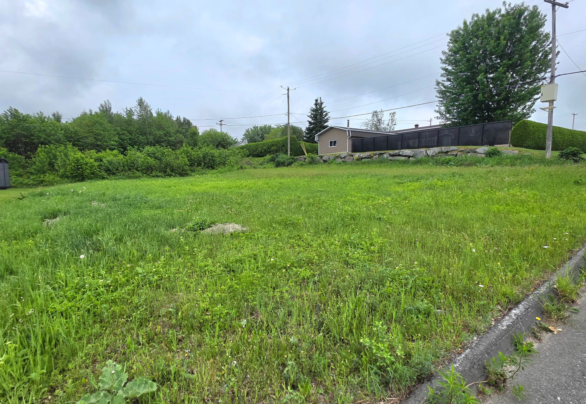 MLS: 14561198