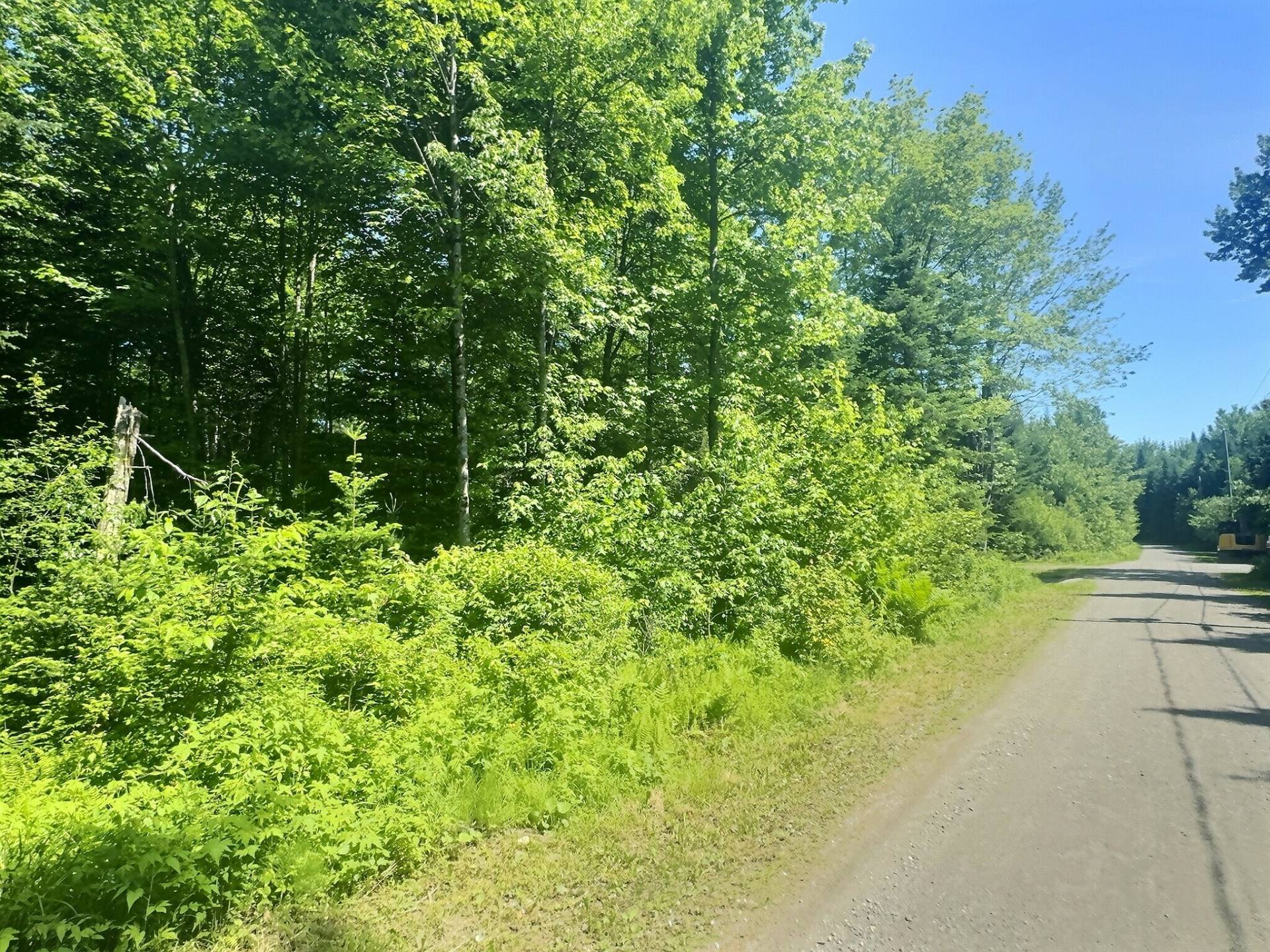 MLS: 22730264