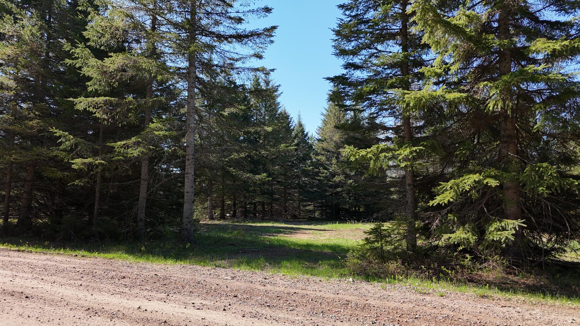 MLS: 28469066