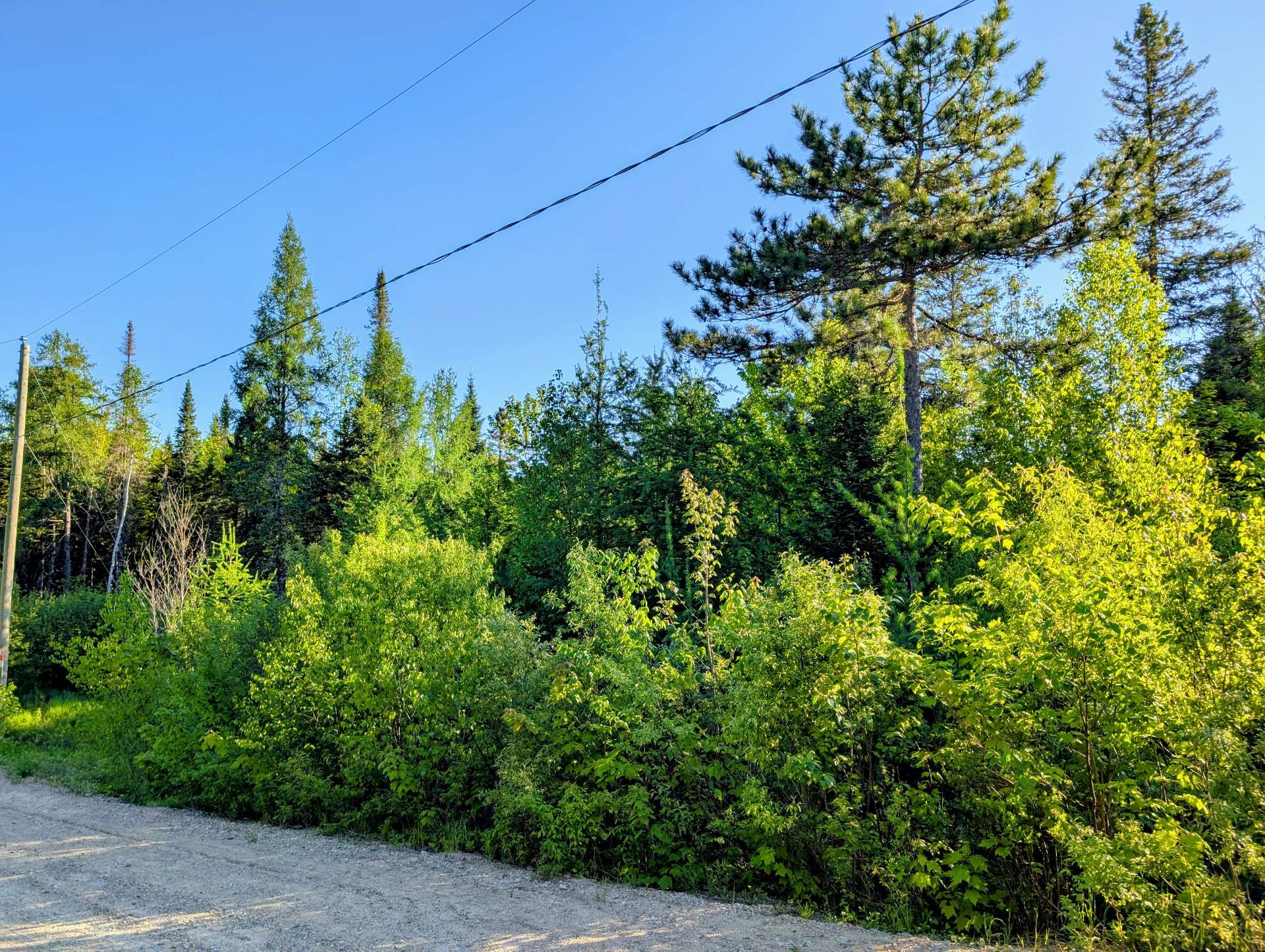 MLS: 10954386