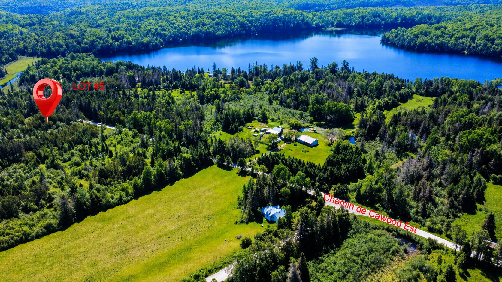 MLS: 16361262