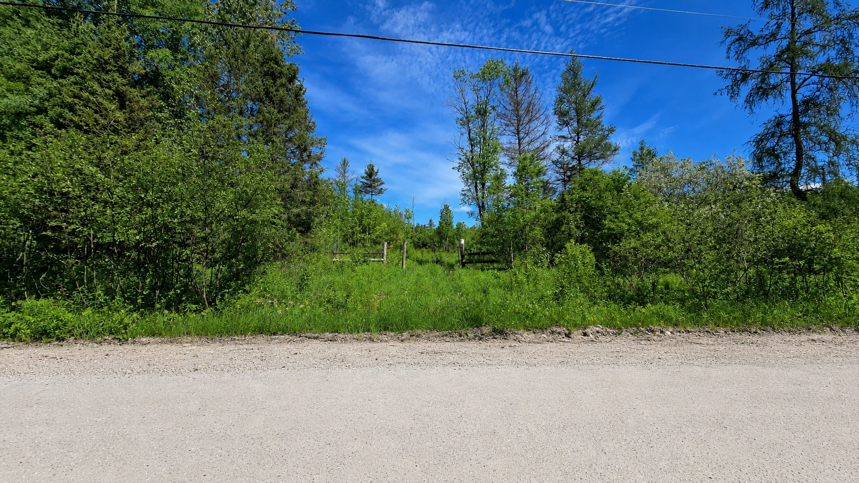 MLS: 17053338