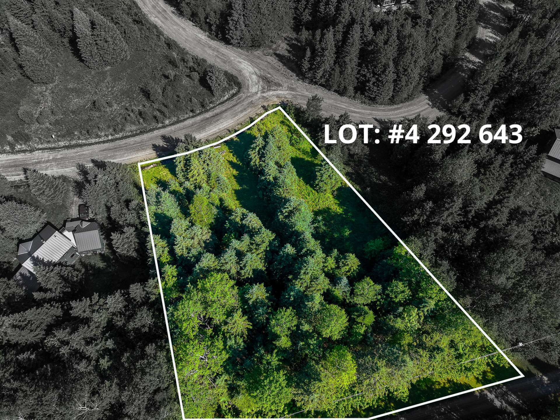 MLS: 19546407