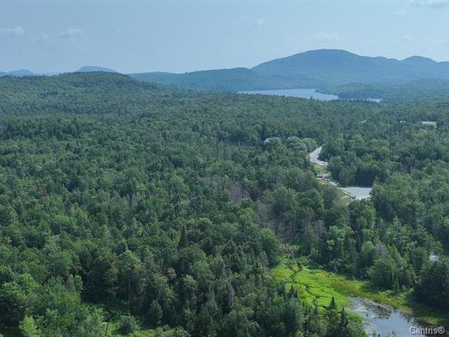 MLS: 15142837