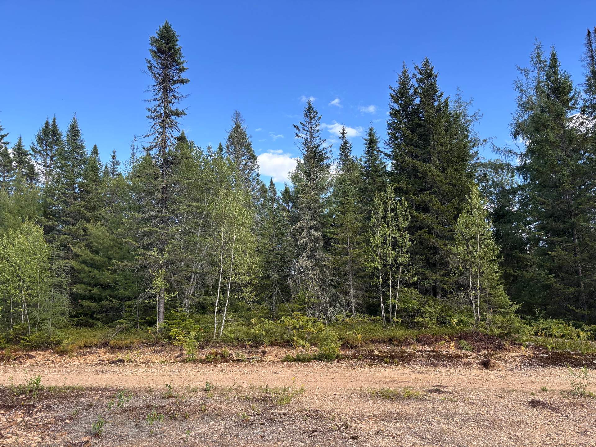 MLS: 12163328