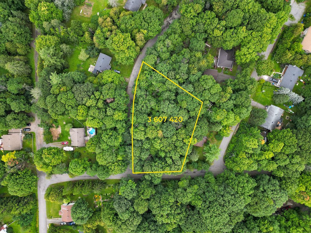 MLS: 20455186
