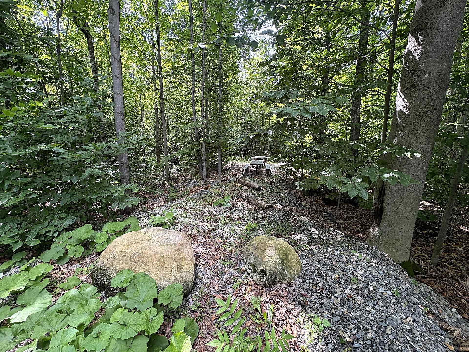 MLS: 13887044