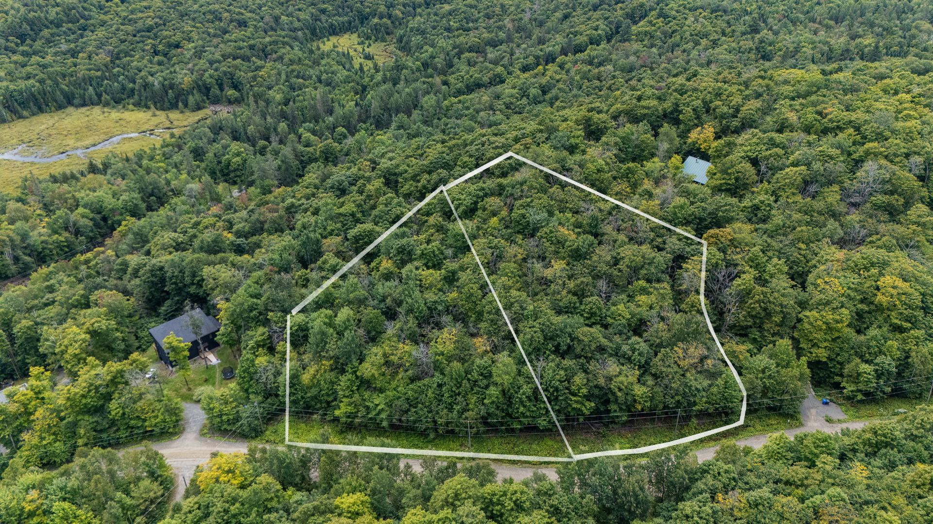 MLS: 15436203