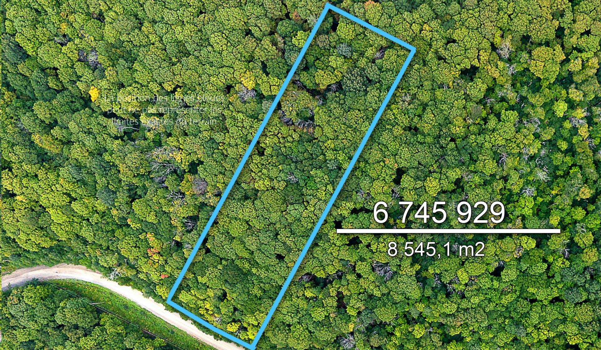 MLS: 12495589