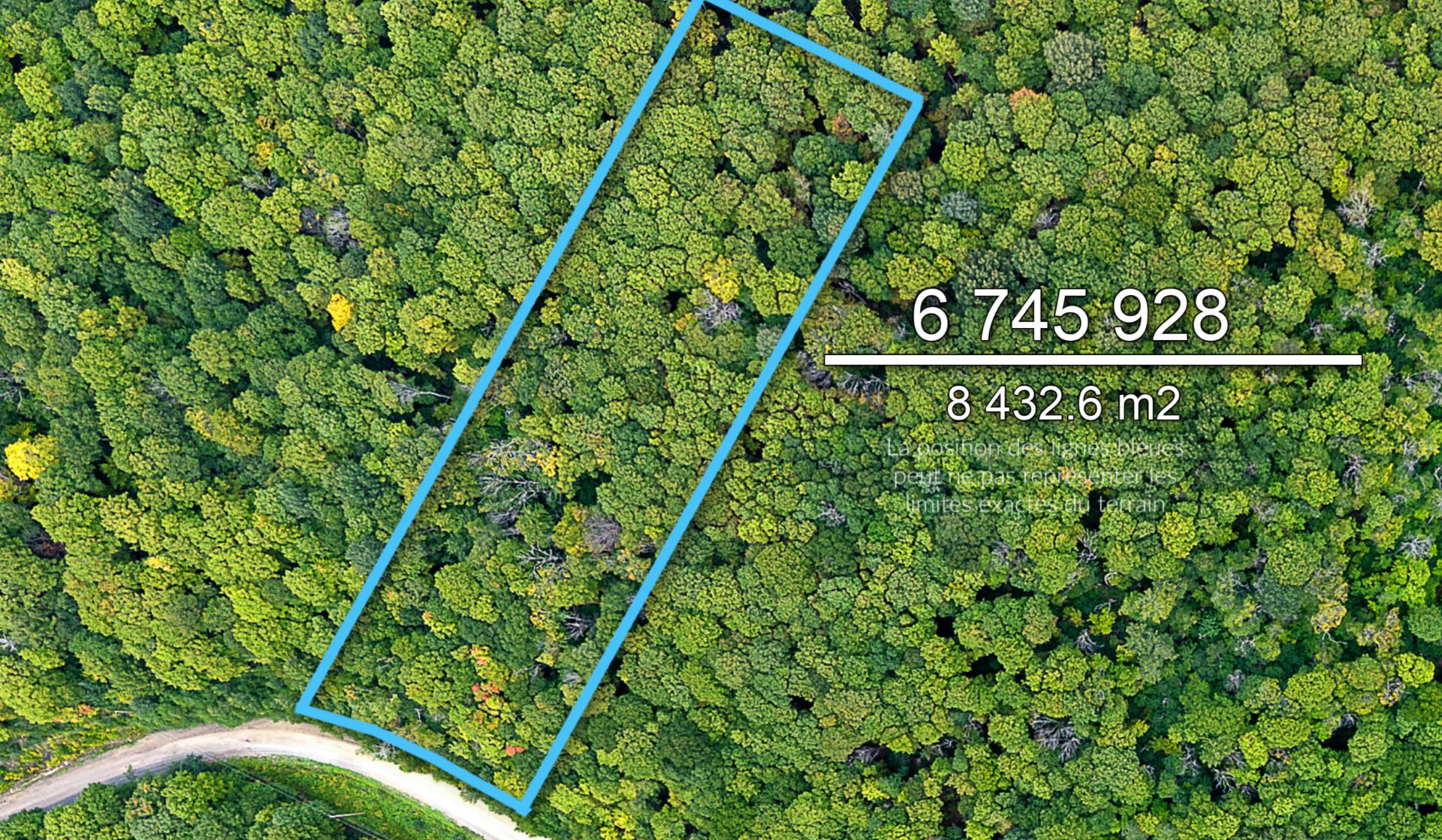 MLS: 12487928