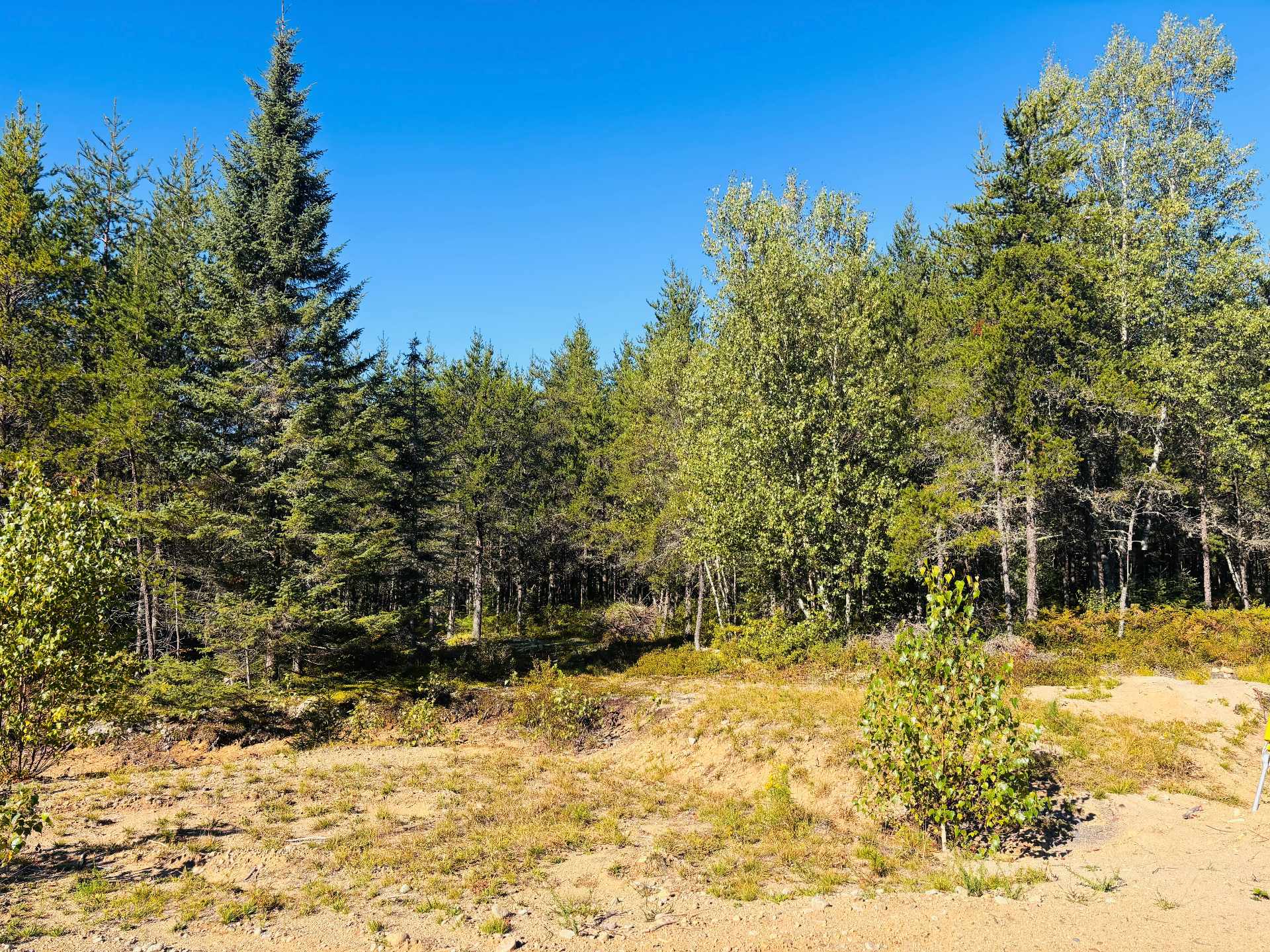 MLS: 10085928