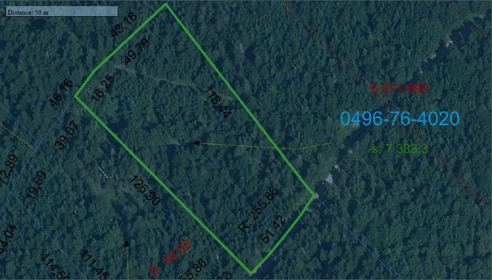 MLS: 11761308