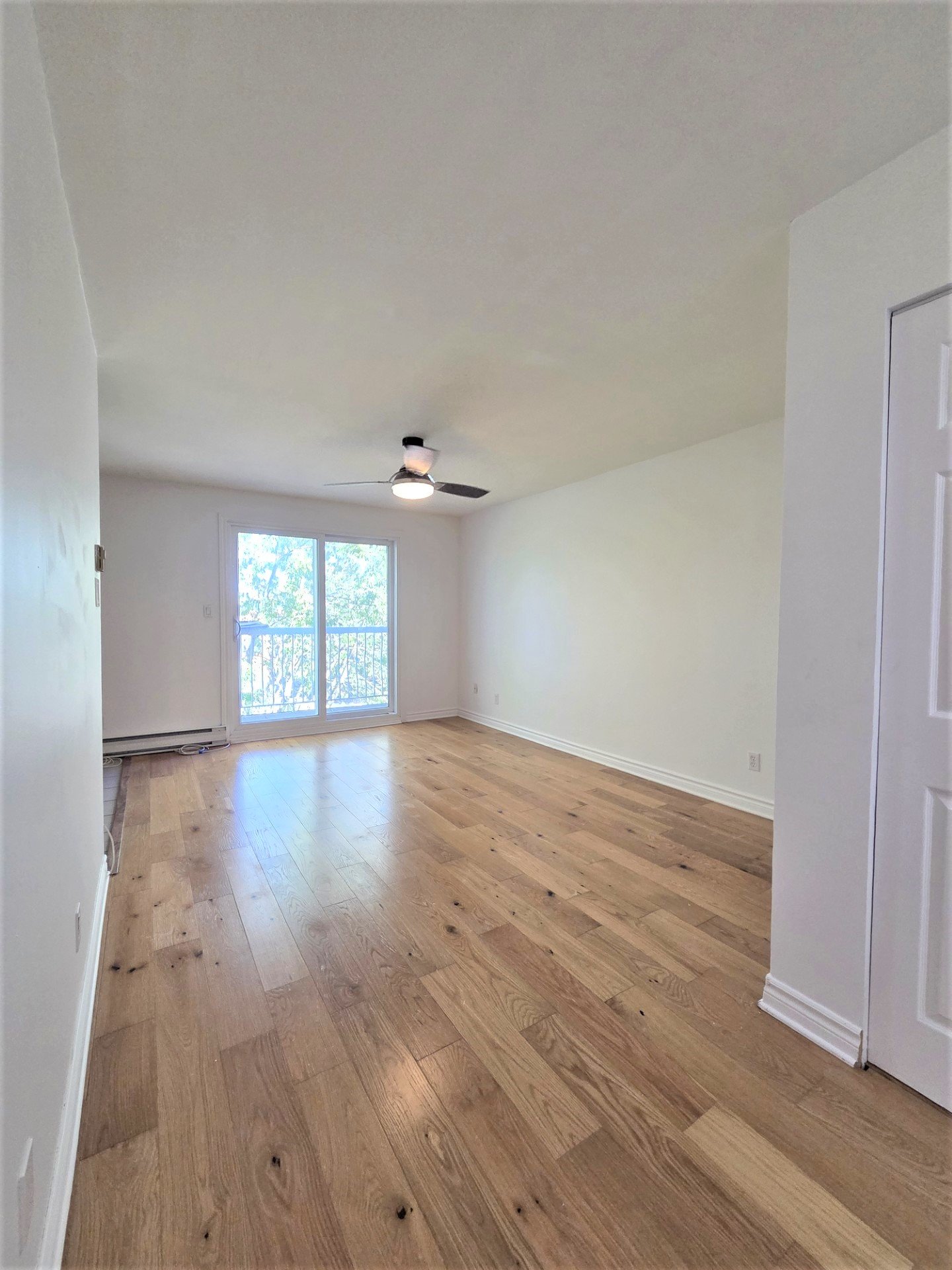 MLS: 15138023