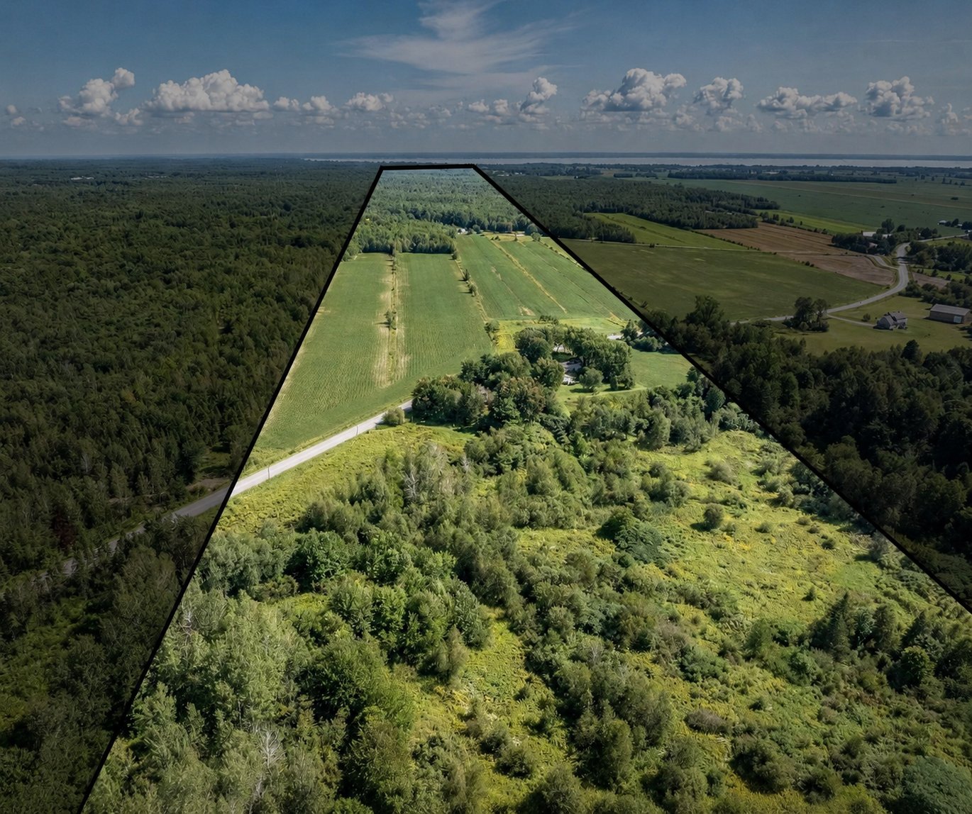MLS: 12232292