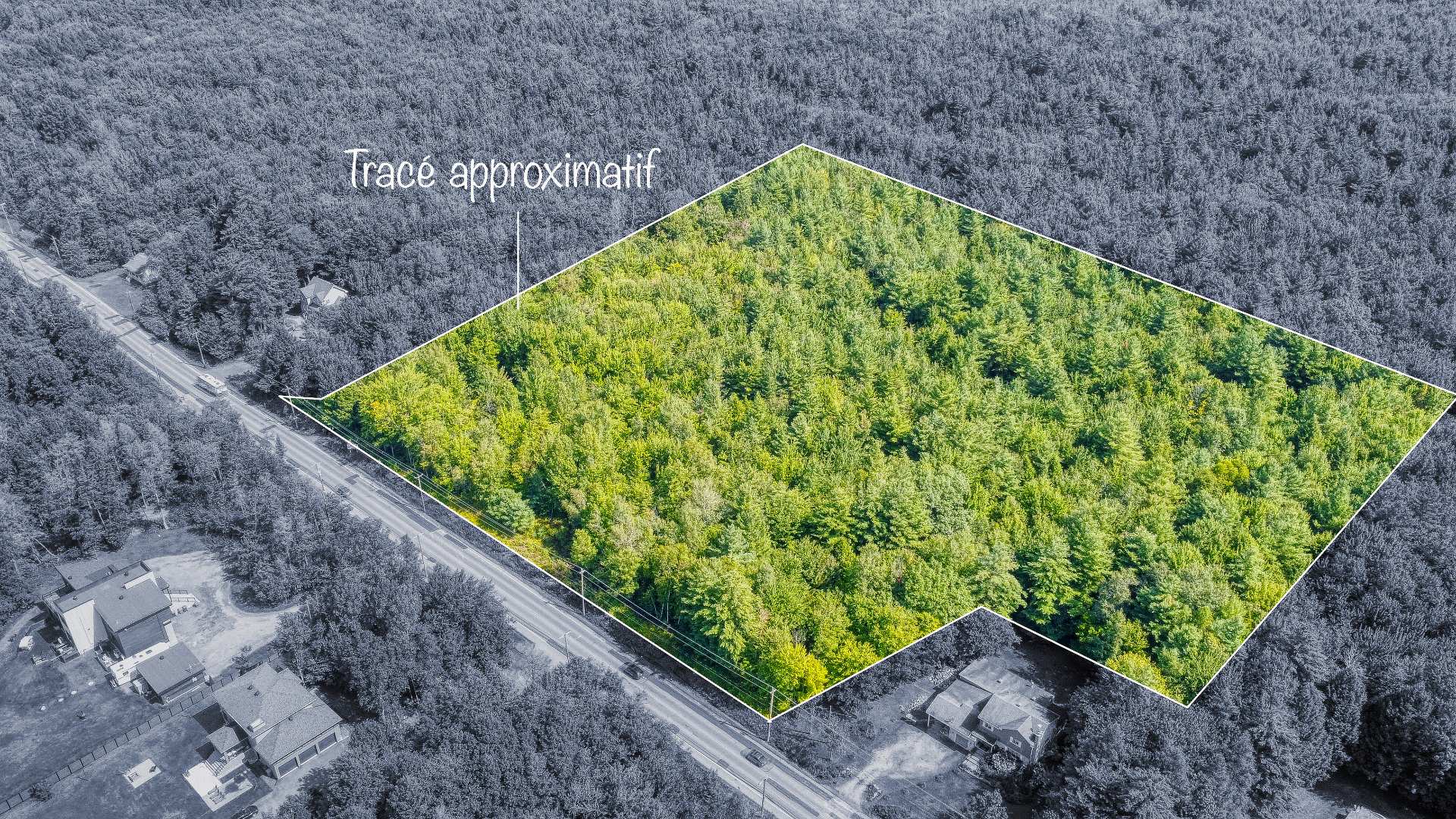 MLS: 22910994