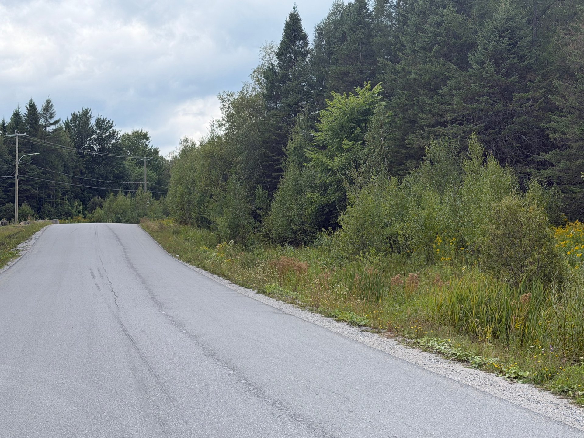 MLS: 11343610