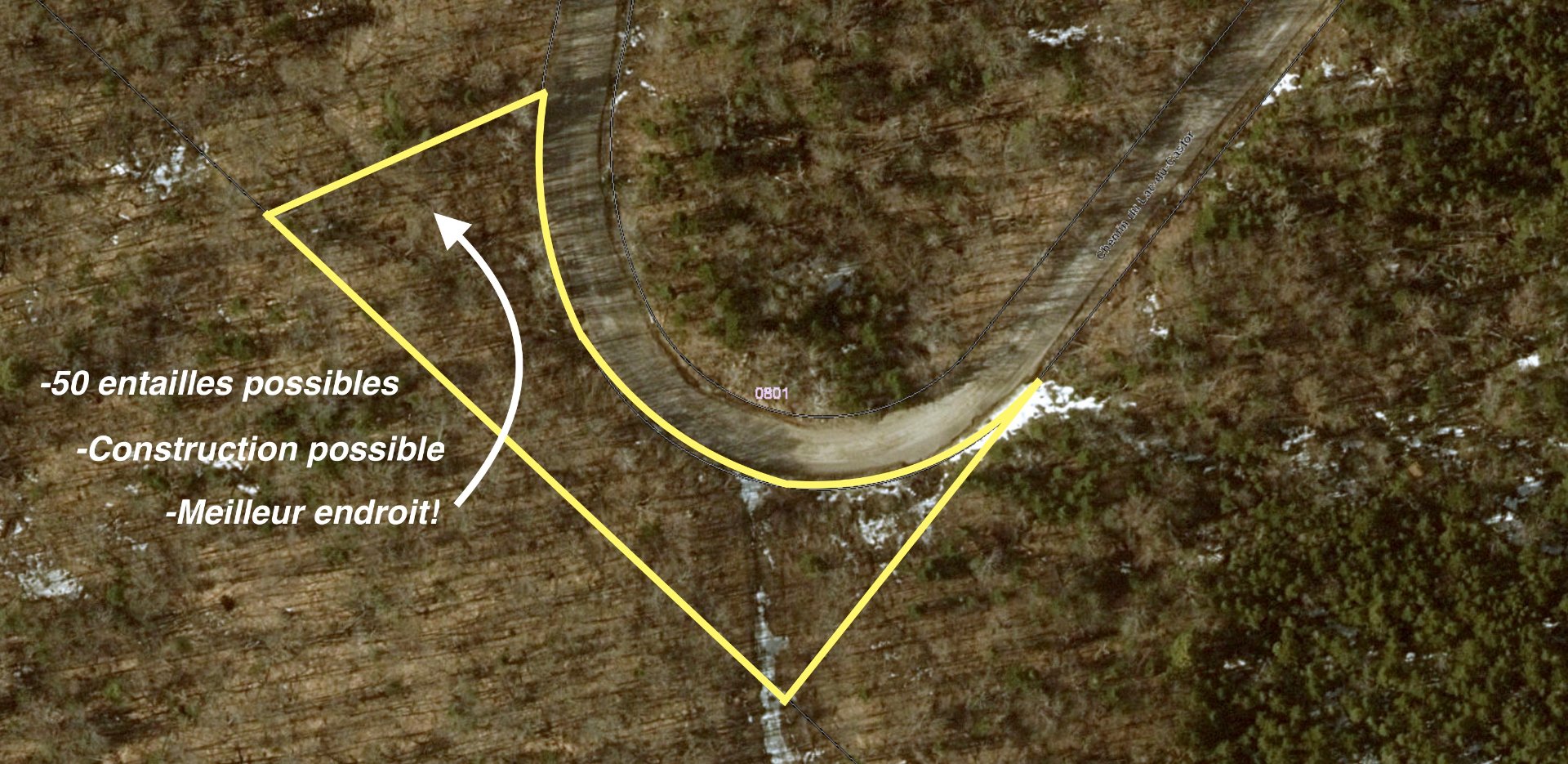 MLS: 23432802