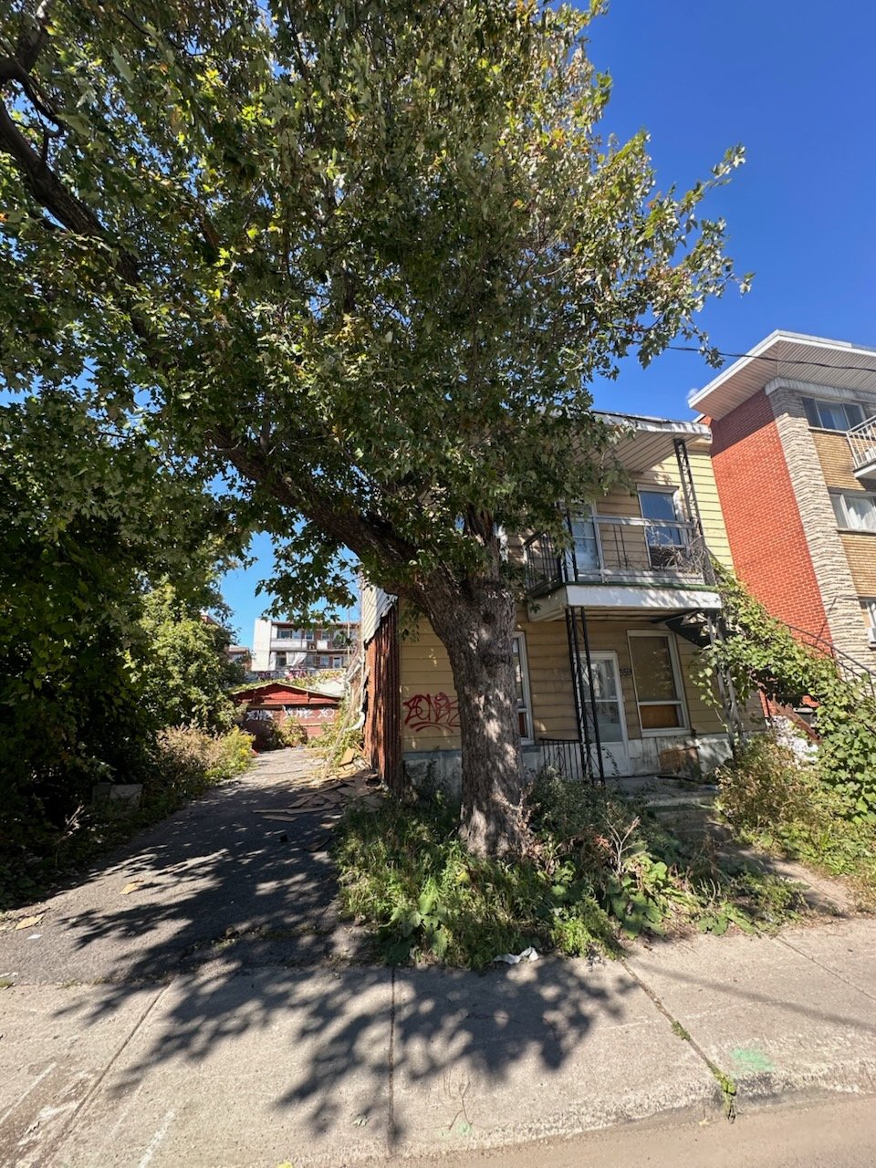 MLS: 26495407