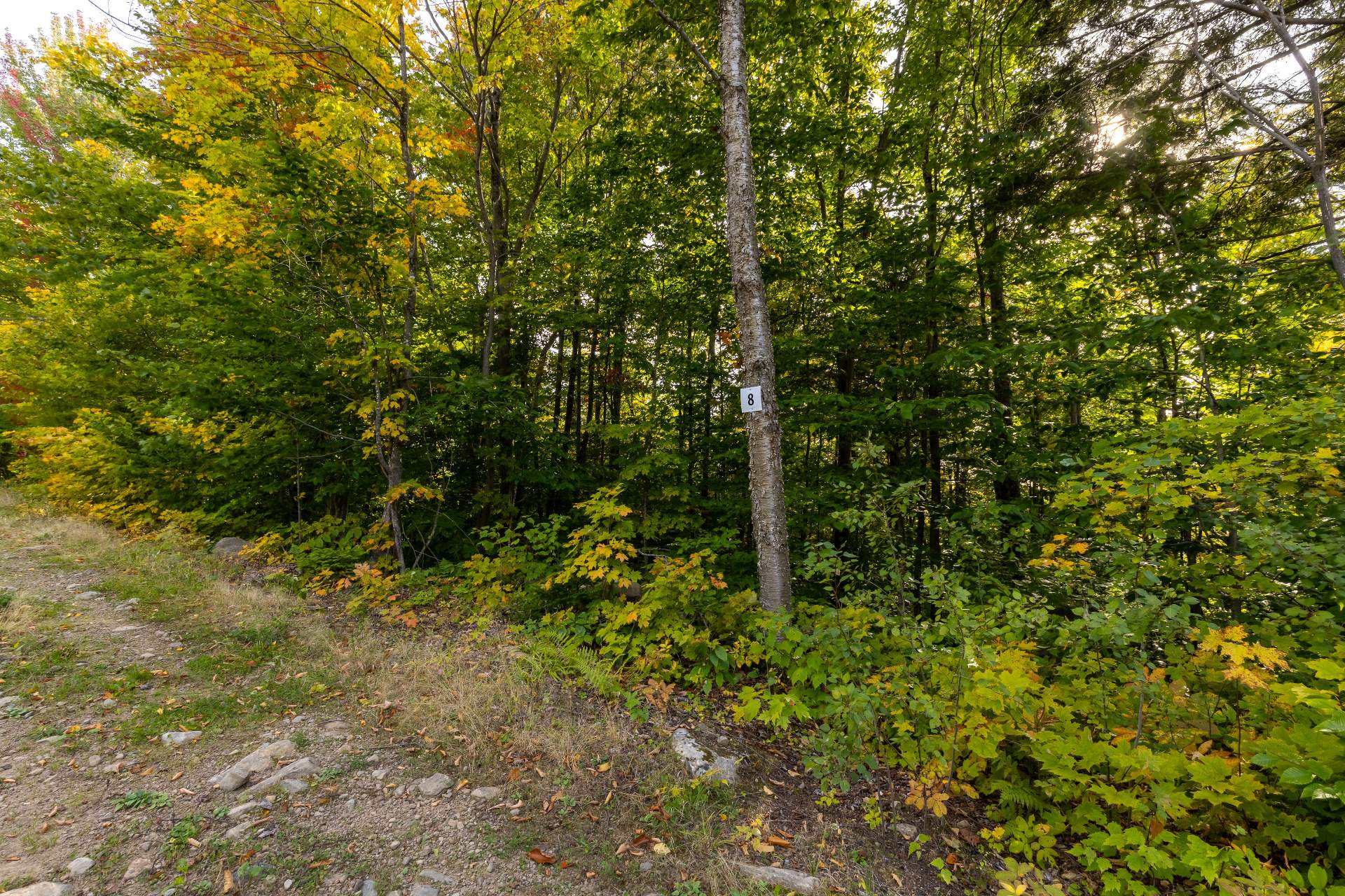 MLS: 19387910